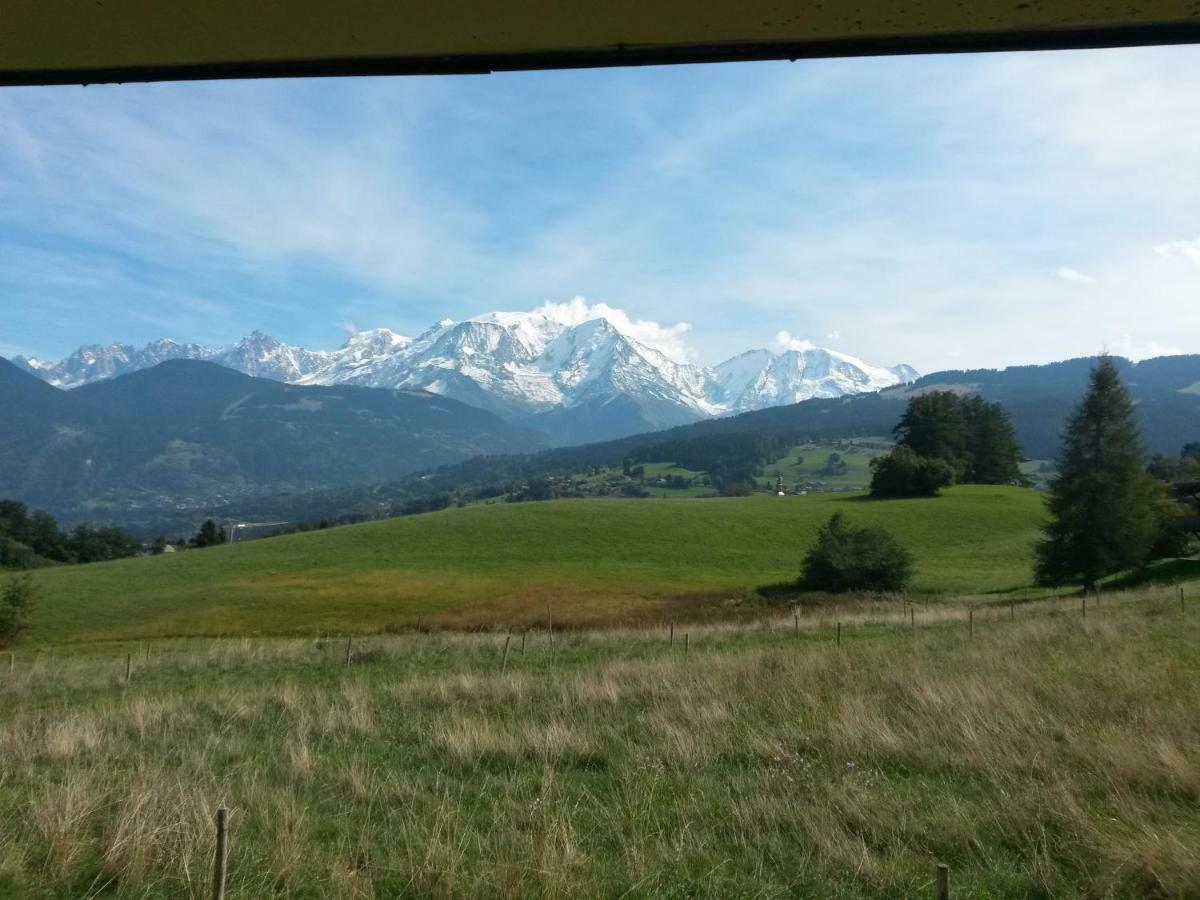 Rez De Chaussee Tres Calme Vue Mont-Blanc Combloux Luaran gambar